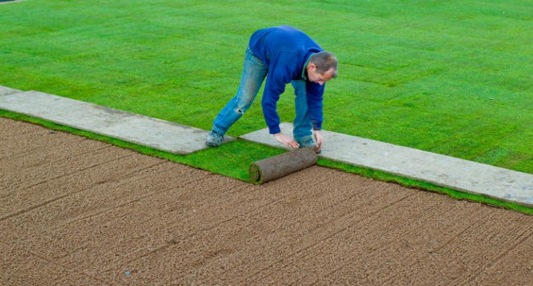 Measure South West Turf